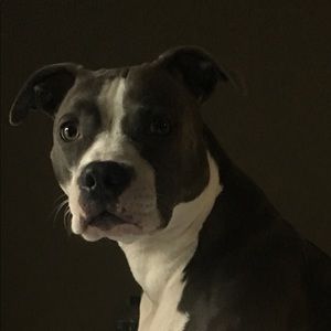 Meet your Posher, Wes